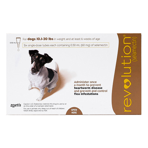 Revolution For Small Dogs 5.1 To 10kg (Brown) 12 Pack-image-9622