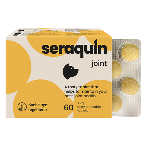 Seraquin For Medium And Large Dogs 2 Gm 60 Tablets-image-9914