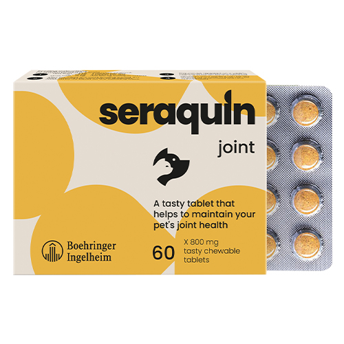 Seraquin For Cats And Small Dogs 800 Mg 60 Tablets-image-9913