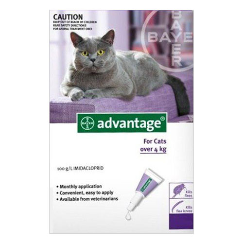 Advantage For Cats Over 4kg (Purple) 6 Pack-image-9668