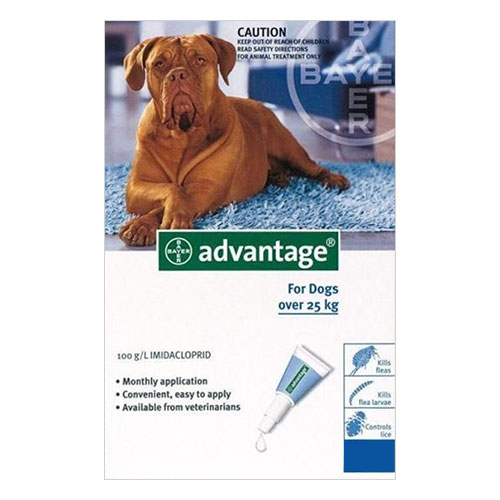 Advantage For Extra Large Dogs Over 25kg (Blue) 12 Pack-image-9108