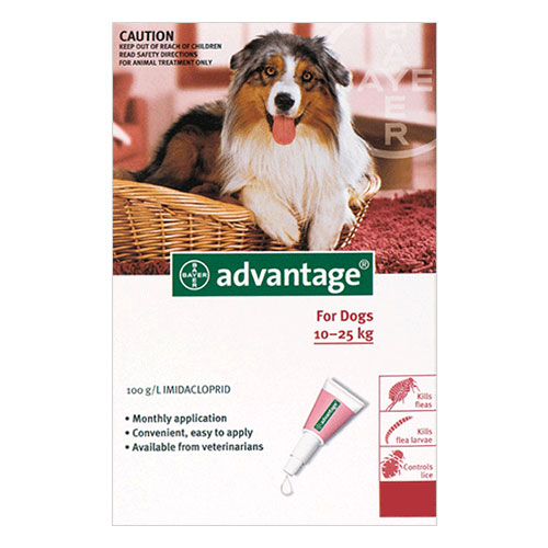 Advantage For Large Dogs 10 To 25kg (Red) 12 Pack-image-9107