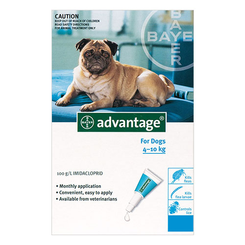 Advantage For Medium Dogs 4 To 10kg (Aqua) 12 Pack-image-9106