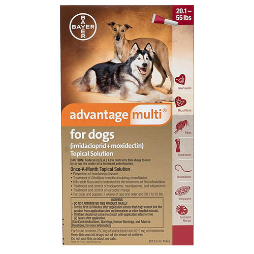 Advantage Multi (Advocate) For Large Dogs 10 To 25 Kg (Red) 12 Pack-image-9686
