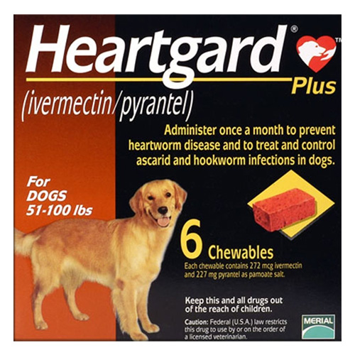 Heartgard Plus For Large Dog 23 To 45 Kg (Brown) 6 Chews-image-5696
