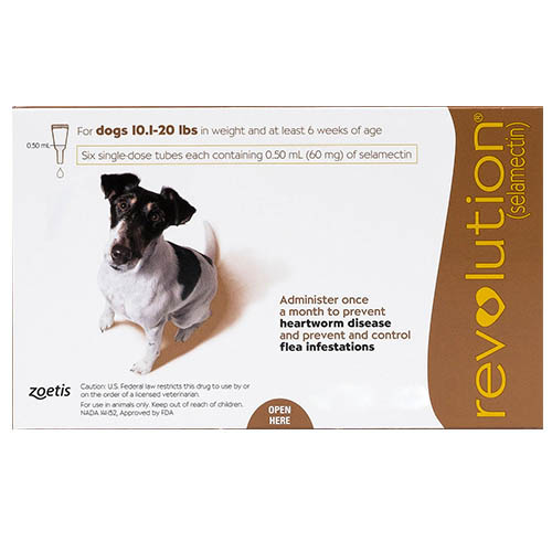 Revolution For Small Dogs 5.1 To 10kg (Brown) 12 Pack-image-9630