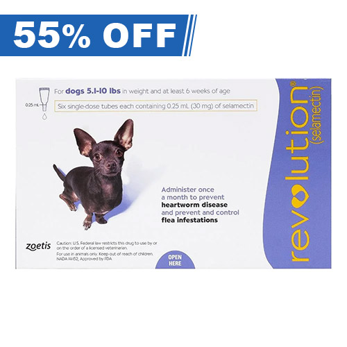 Revolution For Very Small Dogs 2 To 5kg (Purple) 6 Pack-image-9671