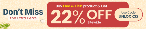 Offer Sale Banner