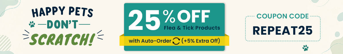 Offer Sale Banner