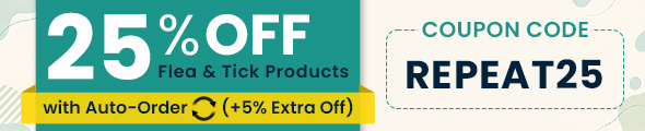Offer Sale Banner