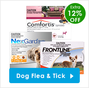 Dog Flea & Tick Control