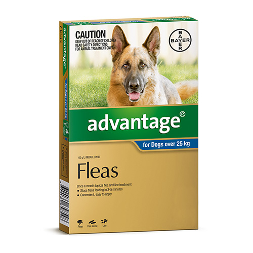 Flea Treatment For Extra Large Dogs Flea Treatment For Extra Large Dogs