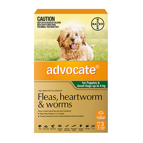 Cheap Advocate For Extra Large Dogs Cheap Advocate For Extra Large Dogs