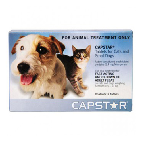 Is Capstar Safe For Small Dogs Is Capstar Safe For Small Dogs