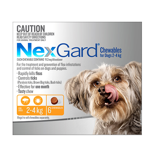 what is nexgard for dogs nexgard for dogs buy nexgard flea tick for dogs what is nexgard for dogs nexgard for dogs buy nexgard flea tick for dogs