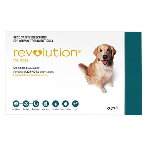 Revolution Flea Treatment For Large Dogs Revolution Flea Treatment For Large Dogs
