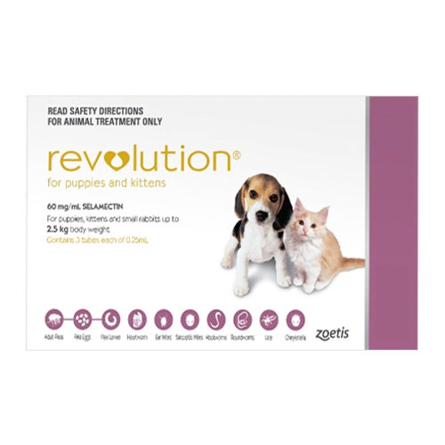 What Is Revolution For Dogs