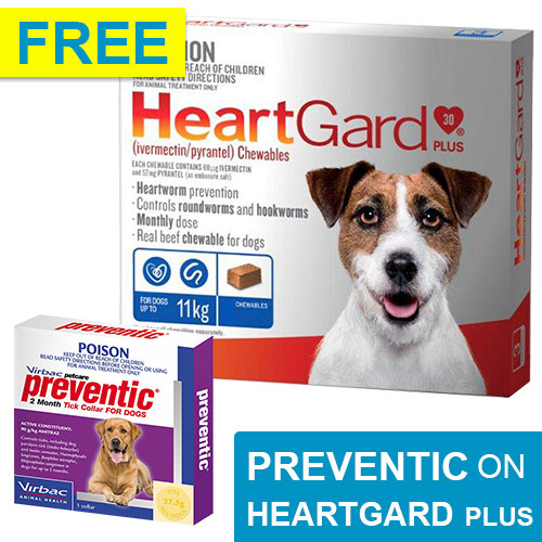 Heartgard Plus For Dogs Buy Heartgard Plus Only at 33.29 BudgetVetCare